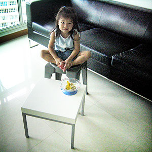 20050111-sit.jpg